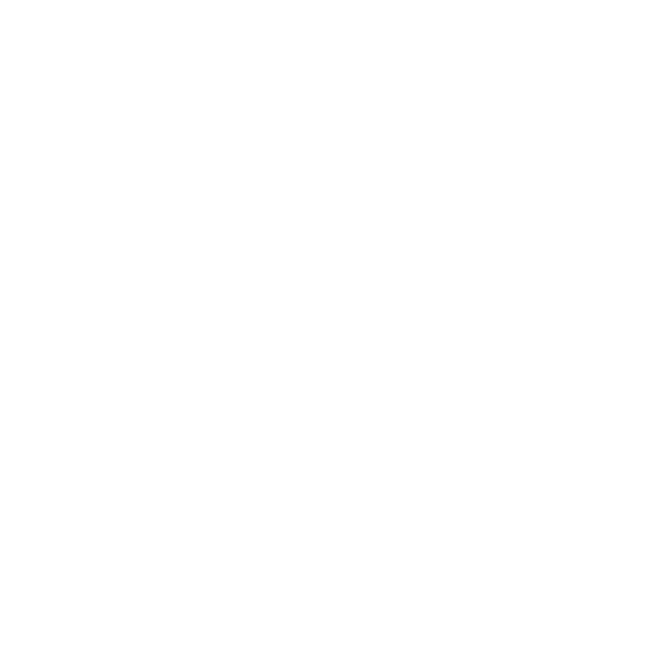 icono servicio integral